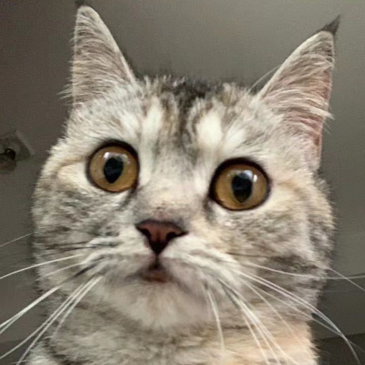 Louise