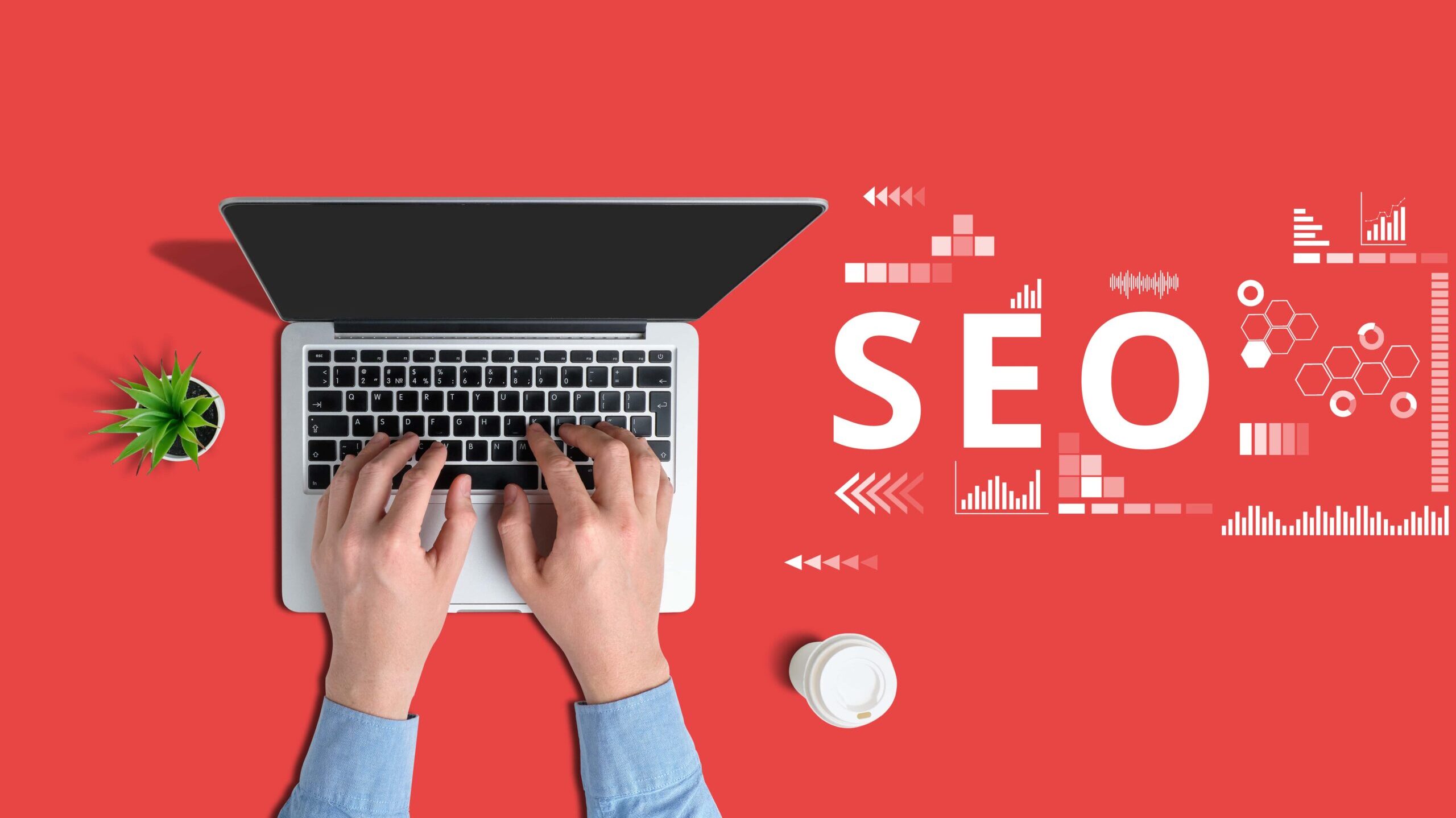 What is SEO